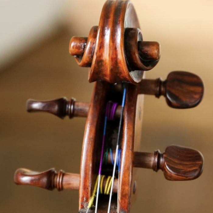 Volune d'un violon, montrant la correcte manière de monter les cordes sur les chevilles, sans que les cordes se chevauchent entre elles.